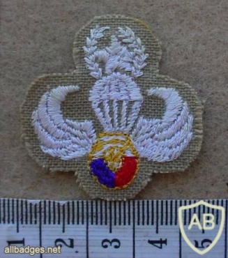 PHILIPPINES Army Parachutist jump wings, Master, type 4 img14358