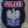 Polish Police arm patch