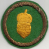 87th Infantry Division img14407