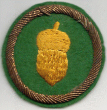 87th Infantry Division img14407
