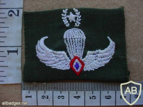 Philippines Air Force Para-Rescue parachutist wings, Master img14491