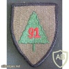 91st Infantry Division