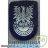 Polish Army beret badge