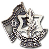 Badge representing soldiers and officers abroad