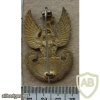 Polish Army cap badge, WWII, 3 img14846
