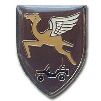 Bedouin Reconnaissance Battalion- 585 img14888