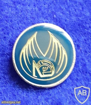 Unidentified badge- 14 img14890