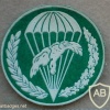 Polish Army 10th Air Assault Battalion, paratrooper arm patch, green