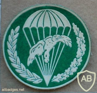 Polish Army 10th Air Assault Battalion, paratrooper arm patch, green img15058