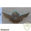 Portuguese Paratroopers wings chest metal badge, 2nd series
