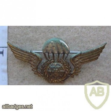 Portuguese Paratroopers wings chest metal badge, 2nd series img15073