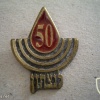  50Years Victory in WWII Award Israel pin img15213
