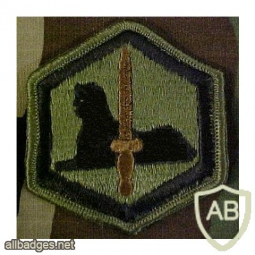 66th Millitary Intelligence Brigade img15161