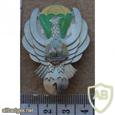 Romanian Army 1st Class paratrooper badge img15238