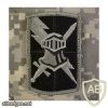 513th Military Intelligence Brigade img15198