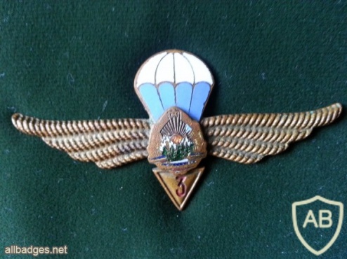 ROMANIA (Socialist Republic of) Air Force Parachutist wings, 3rd Class, 1965-1977 img15497