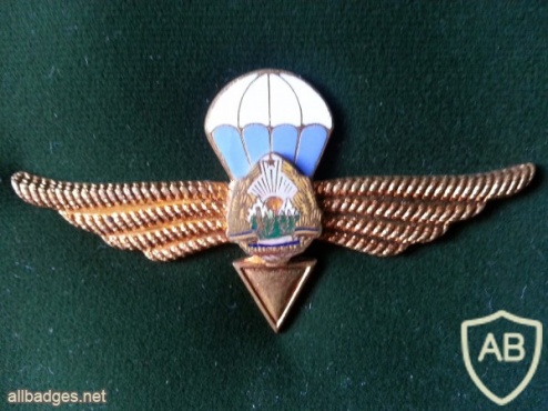 ROMANIA (Socialist Republic of) Air Force Parachutist wings, 1965-1977 img15506
