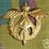 Belgium Administrative Corps cap badge, gold