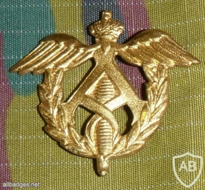 Belgium Administrative Corps cap badge, gold img15511