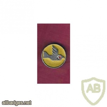 Yellow Bird Knights Squadron - Squadron- 131 img15655