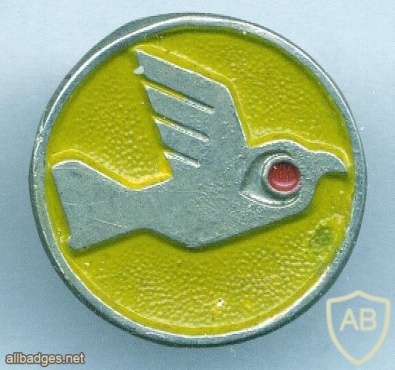 טייסת אבירי הציפור הצהובה - טייסת- 131 img15654
