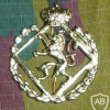 Royal Military school