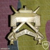 Reconnaissance squadron cap badge