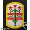 260th Military Police Brigade