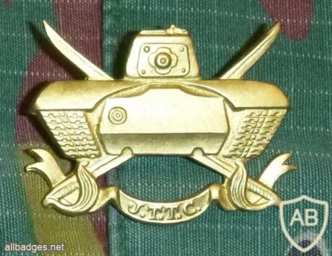 Demonstration armor school cap badge, gold img15815