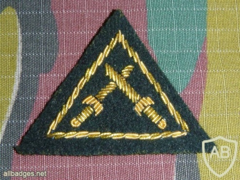 Commando B  brevet (sleeve badge), gold img15812