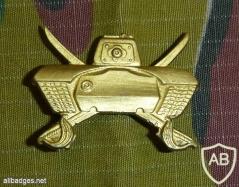Armor center cap badge, gold img15816