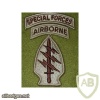 US Army Special Forces Command (Airborne) patch img15726