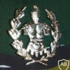 Engineers school cap badge, silver