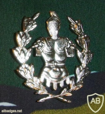 Engineers school cap badge, silver img16253