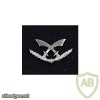 Sword Battalion- 299 img16220