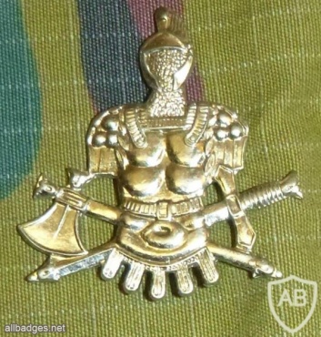 Engineers cap badge, silver img16255