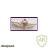 Parachute wings - 50 parachutes img16293