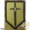 1st Maneuver Enhancement Brigade img16239