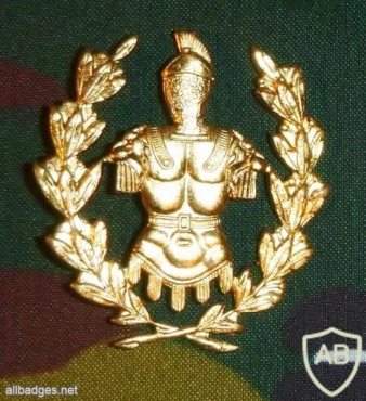 Engineers school cap badge, gold img16256