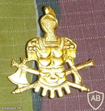 Engineers cap badge, gold img16254
