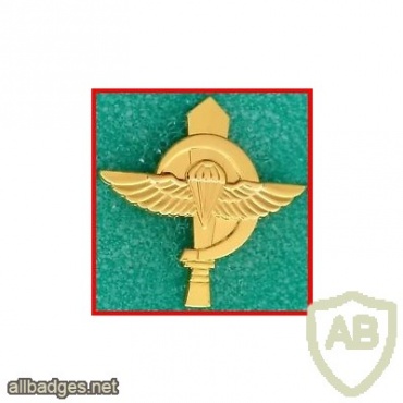 50th Bazelet battalion - The parachuted Nahal battalion - Golden img16333