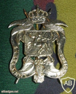 2/4 Regiment Lancers cap badge img17026