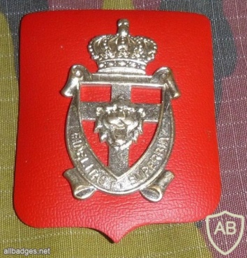 Battalion liberation (bataljon bevrijding) cap badge img17023