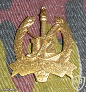 12 line infantry cap badge, gold img17022