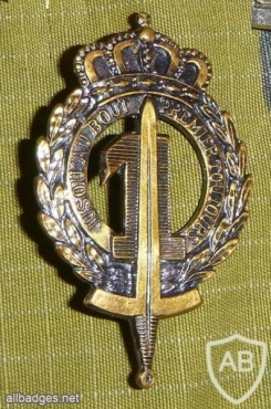 1 line infantry cap badge img17012