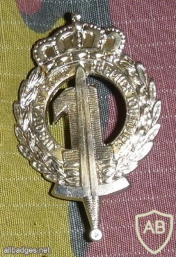 1 line infantry cap badge, silver img17011