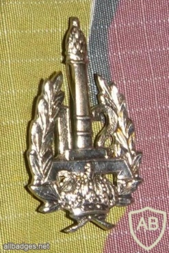 12 line infantry cap badge, type 2, silver img17020