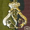 1 Regiment Guides cap badge, gold img17265