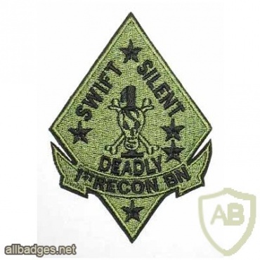 1st Recon Battalion of 1st Marine Division img17386