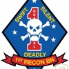 1st Recon Battalion of 1st Marine Division